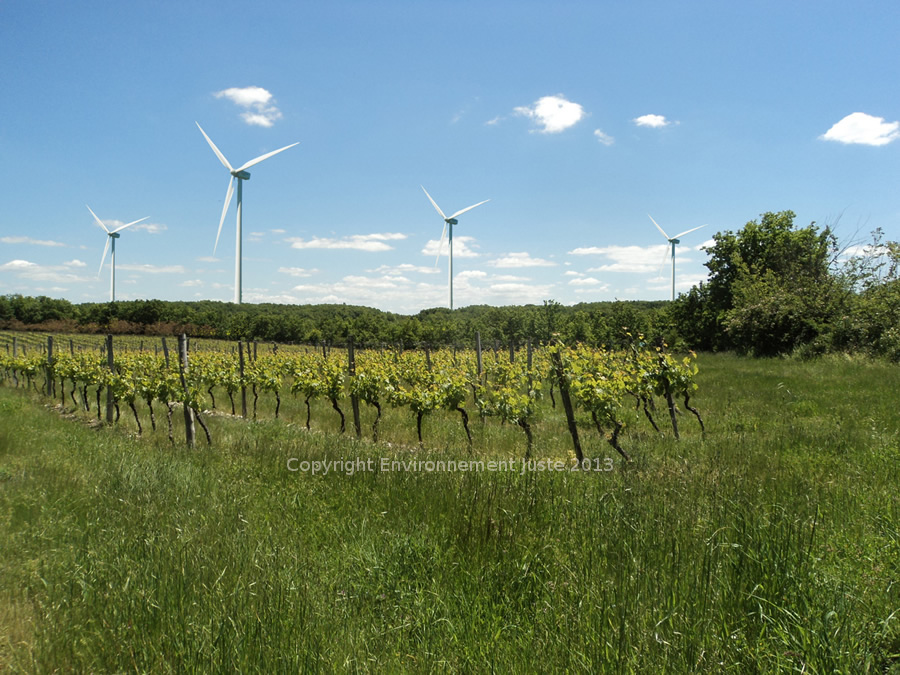 Le vignoble Miraval demain?